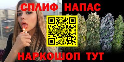 ECSTASY Гай