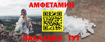прущие грибы Гатчина