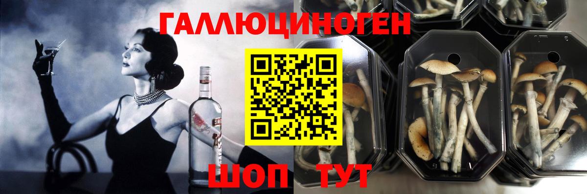 Галлюциногенные грибы прущие грибы Кумертау